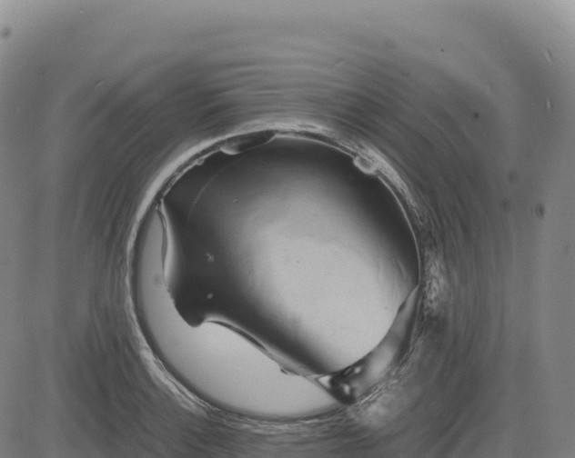 X0000083641132200702201401
