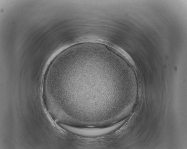 X0000083641144200702201401