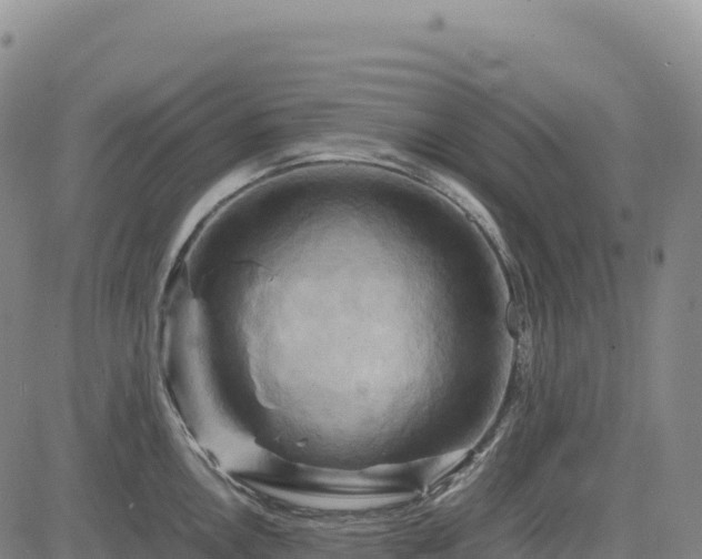 X0000083641146200702201401