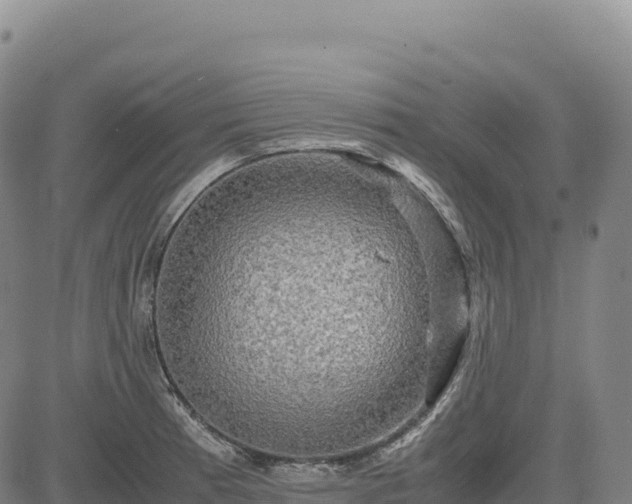 X0000083641185200702201400