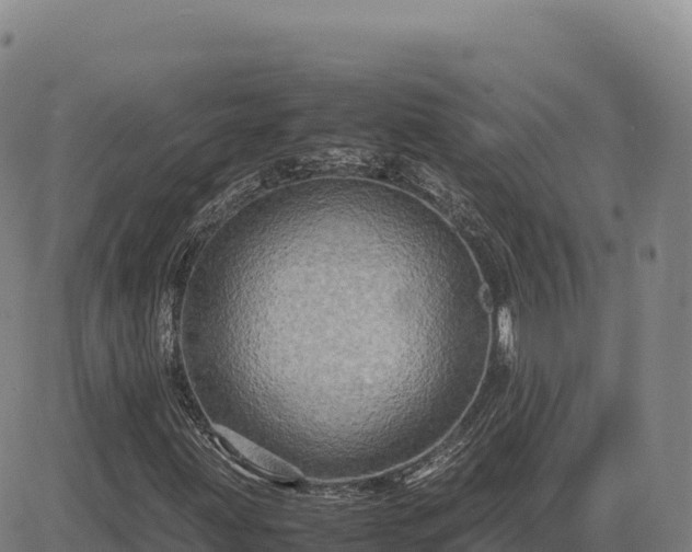X0000083641203200702201359