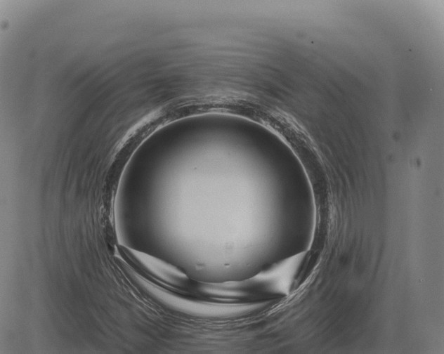 X0000083641210200702201359