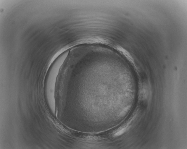X0000083641226200702201359