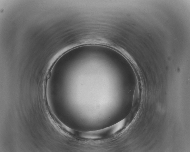 X0000083641246200702201400