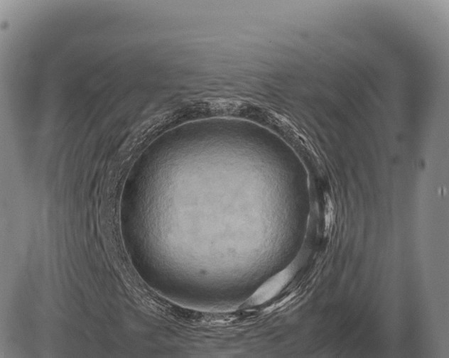 X0000083641249200702201359