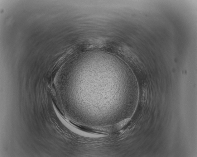 X0000083641250200702201359