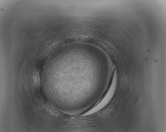 X0000083641252200702201359