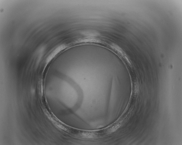 X0000083641274200702201358
