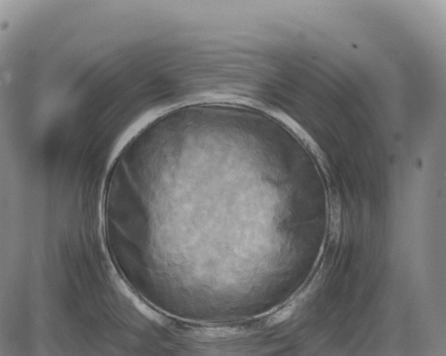 X0000083641294200702201358