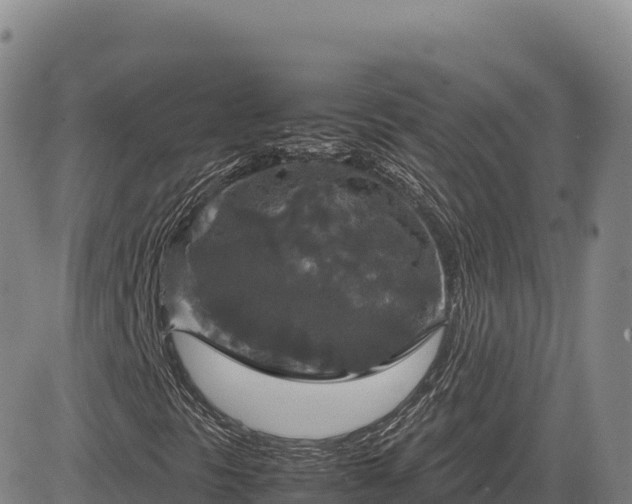 X0000083641297200702201357
