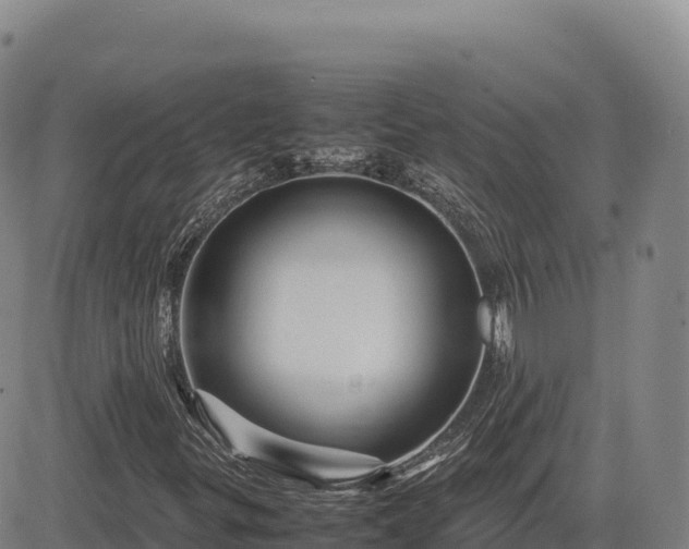X0000083641299200702201357