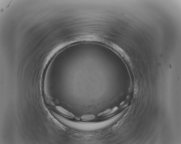 X0000083641334200702201358