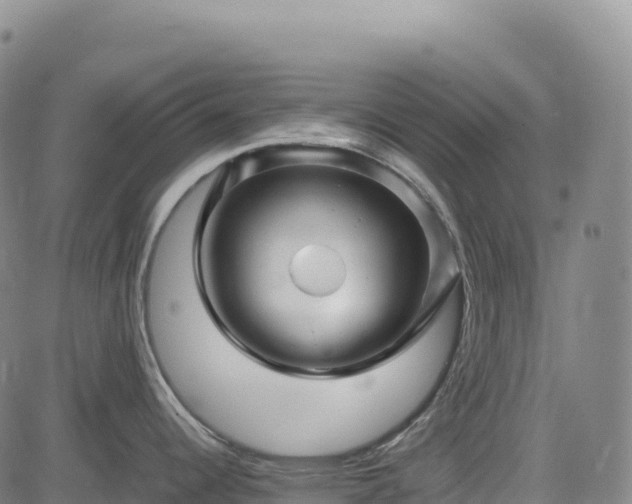 X0000083641344200702201358