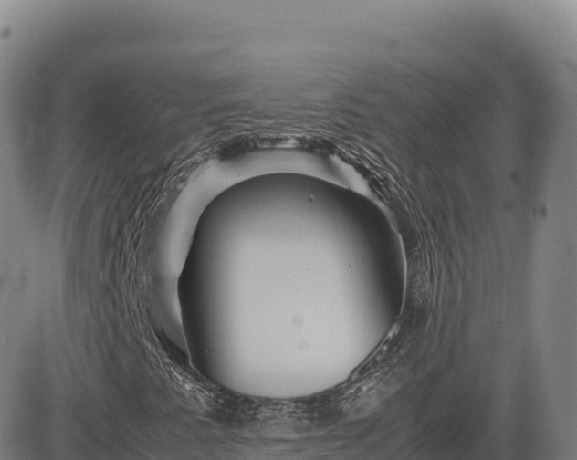 X0000083641345200702201357