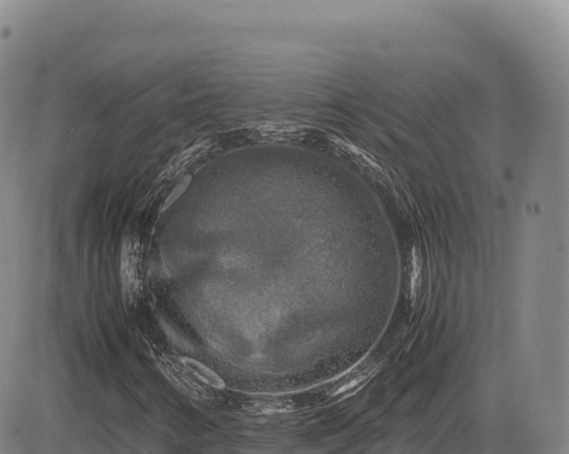 X0000083641346200702201357