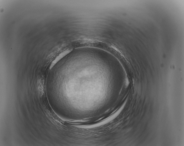 X0000083641348200702201357