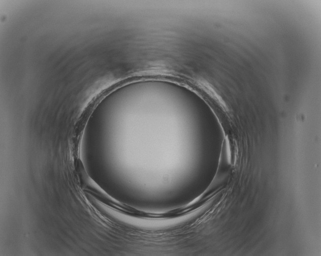 X0000083641356200702201357