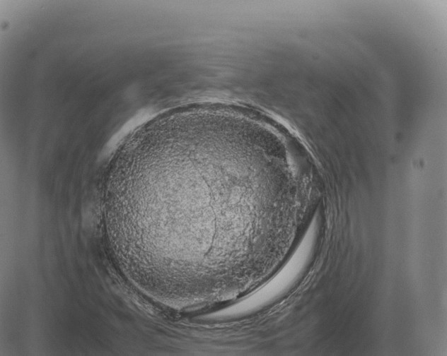 X0000083641359200702201357