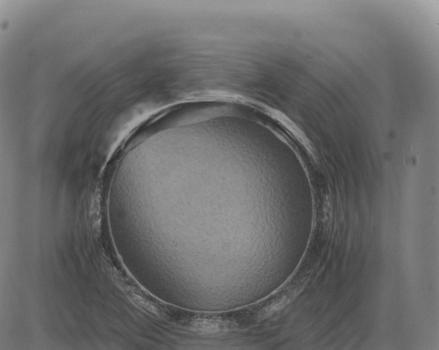 X0000083641364200702201357