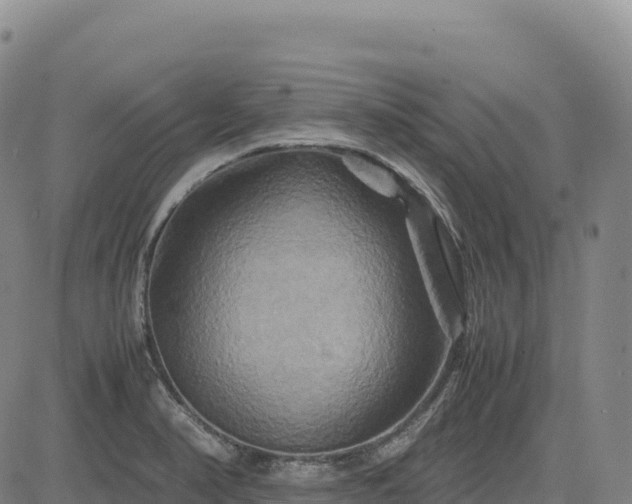 X0000083641374200702201357