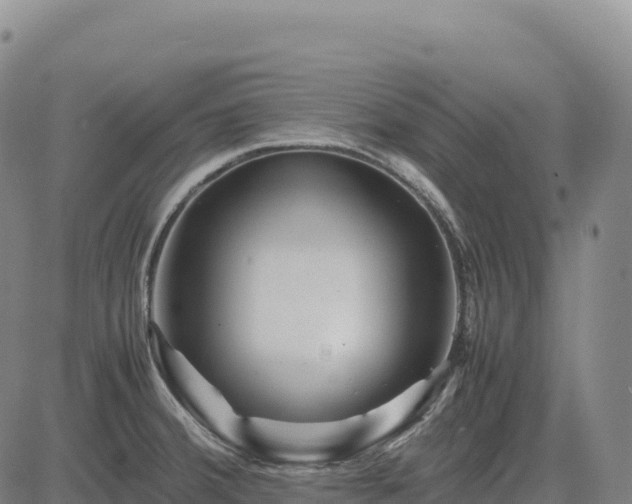 X0000083641380200702201357