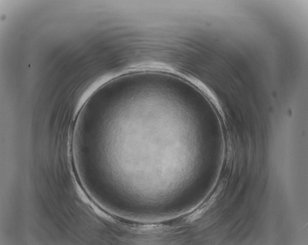 X0000083641390200702201357