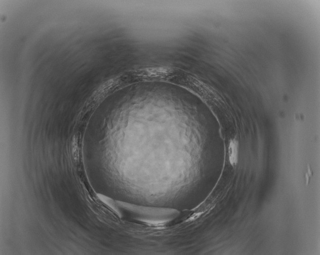 X0000083641395200702201356