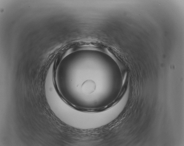 X0000083641398200702201356