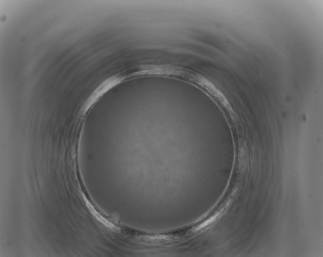 X0000083641425200702201356