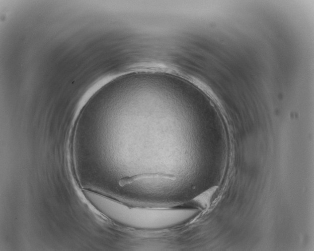 X0000083641440200702201356