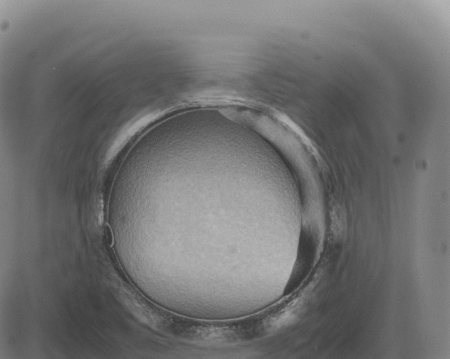 X0000083641461200702201355