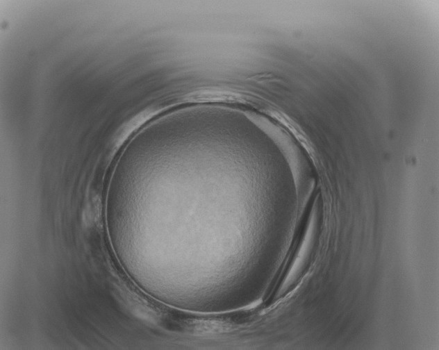 X0000083641465200702201355