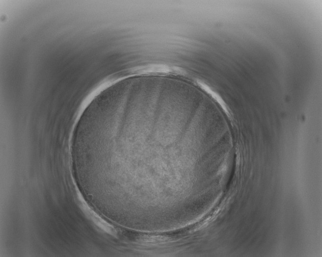X0000083641475200702201355