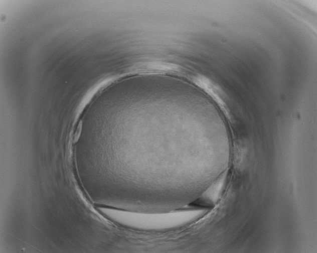 X0000083641477200702201355