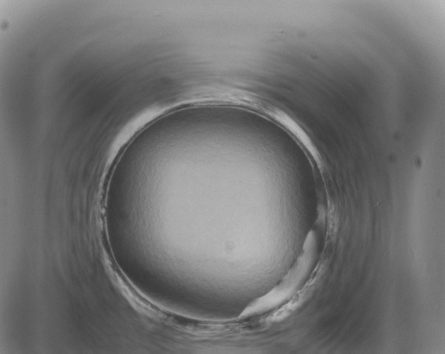 X0000083641485200702201355