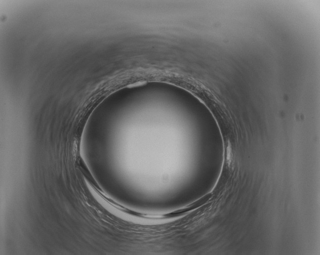 X0000083641492200702201354