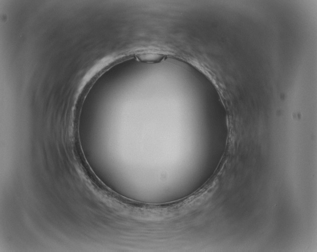 X0000083640008200702261102