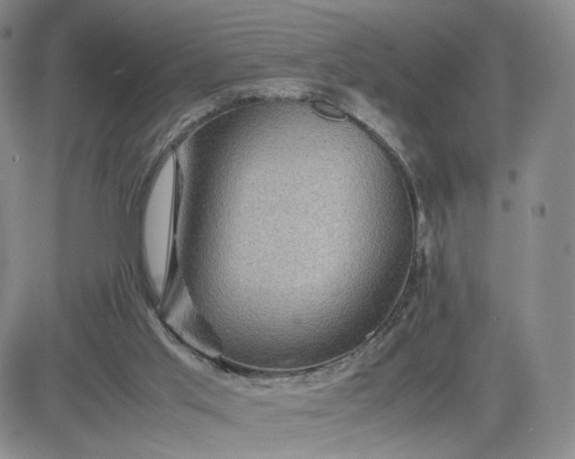 X0000083640013200702261102