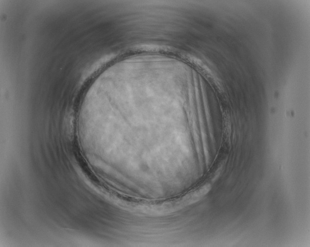X0000083640016200702261102