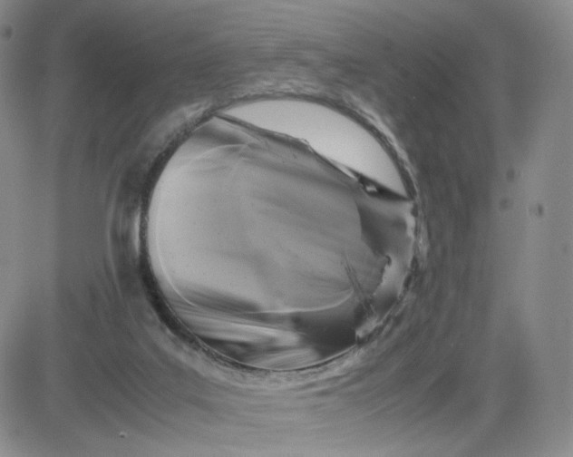 X0000083640019200702261102