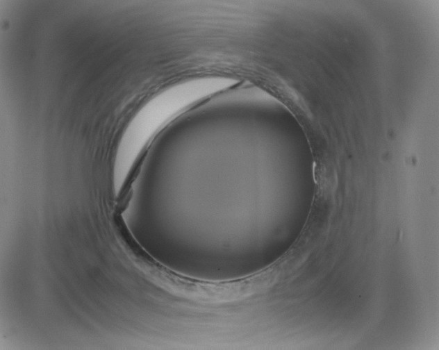 X0000083640027200702261102