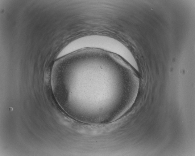 X0000083640033200702261102