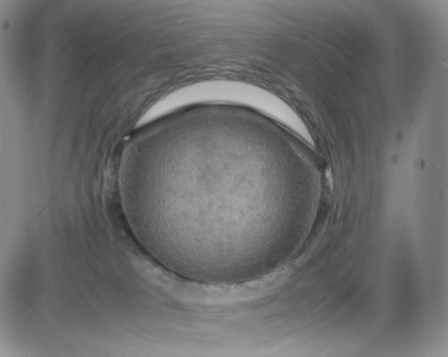 X0000083640037200702261102