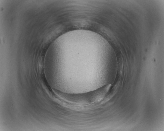 X0000083640040200702261102