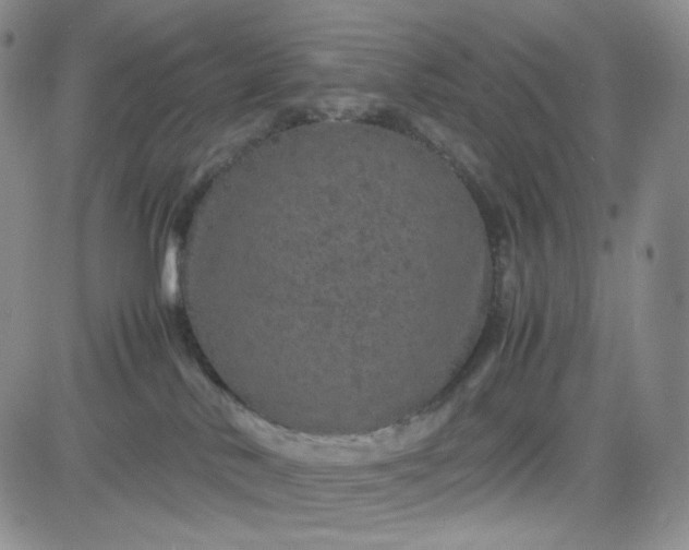 X0000083640042200702261101