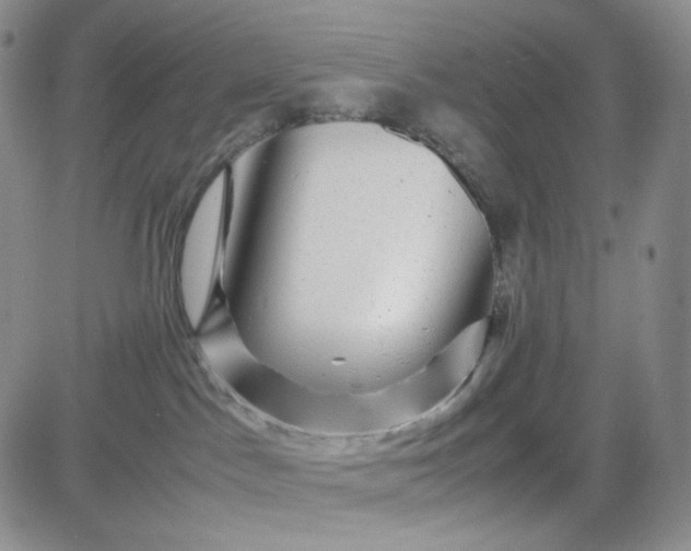 X0000083640045200702261101