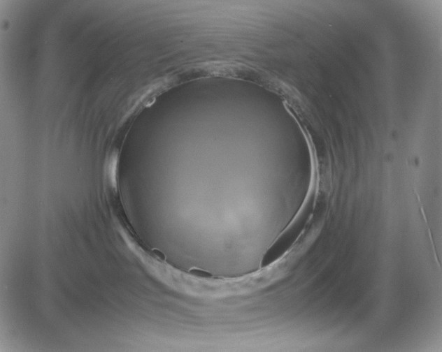 X0000083640047200702261101