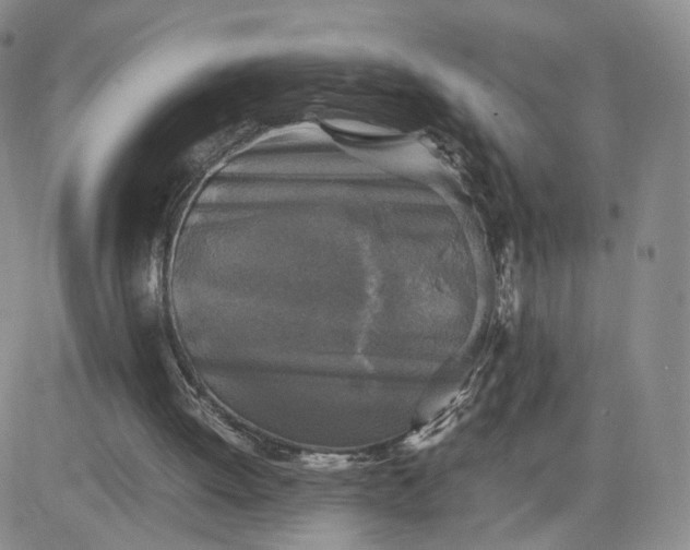 X0000083640052200702261101