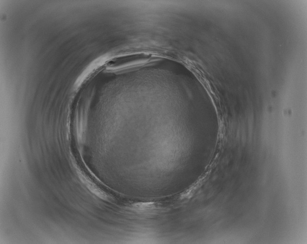 X0000083640054200702261101