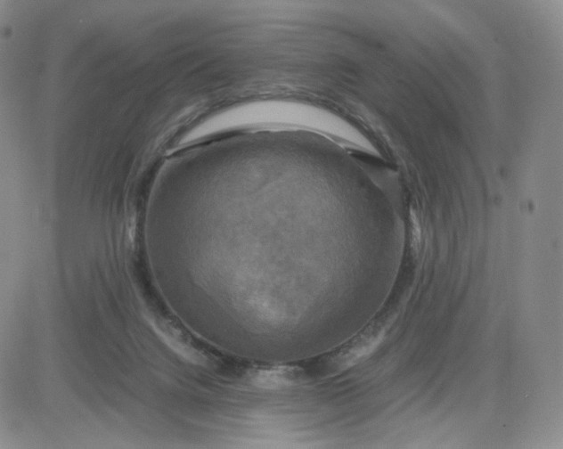 X0000083640072200702261101
